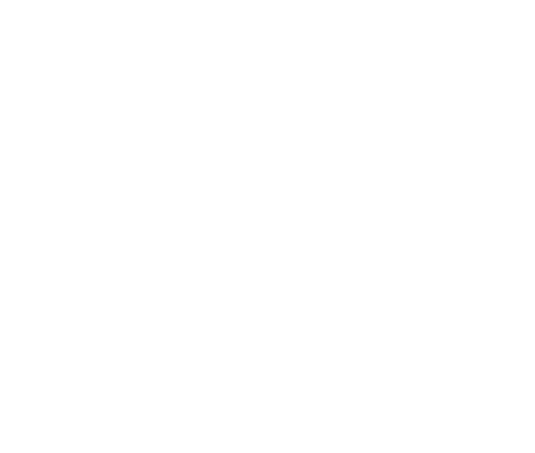 Our Team | Salween Group