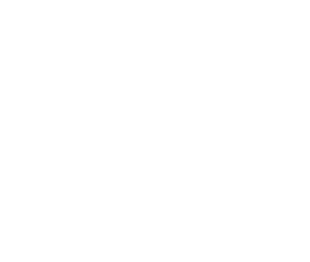 HubSport Provider | Solutions Partner Program