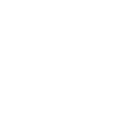 HubSpot Partner